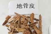 地骨皮的功效与作用地骨皮的功效与作用主要治什么病