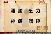 养生堂陈文伯讲羊奶全部视频养生堂陈文伯