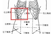 肚脐下方痛怎么办肚脐下方疼痛怎么回事