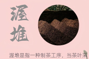 普洱茶喝法视频教程普洱茶喝法