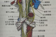纵膈淋巴结增大如何判断是炎症还是肿瘤引起的,纵膈