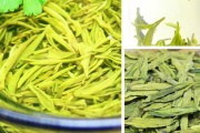 龙井茶有什么功效,龙井茶有什么功效视频 龙井茶有什么功效,龙井茶有什么功效视频