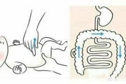 如何判断孩子的肠道是否健康？