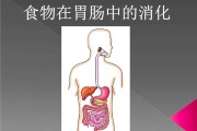 消化,消化不良的10大征兆