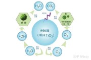 如何清除甲醛,如何分解甲醛