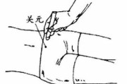回阳九针回阳九针歌