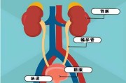 尿路感染尿路感染和尿道炎是一回事吗