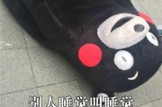 睡觉表情包,睡觉表情包图片 微信