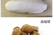 海螵蛸的功效与作用,海螵蛸的功效与作用与主治