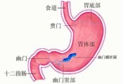 幽门梗阻是什么原因引起的幽门梗阻 幽门梗阻是什么原因引起的幽门梗阻