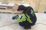 除新房甲醛用什么绿植,除新房甲醛 除新房甲醛用什么绿植,除新房甲醛