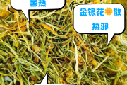 今日金银花价格,今日金银花价格多少钱一斤