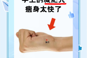减肥位置图减肥位置