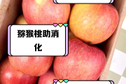 减肥的水果有哪些有助于减肥的水果有哪些
