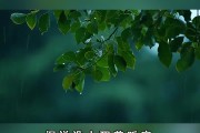 睡眠曲儿童睡眠曲月儿明,睡眠曲儿童睡眠曲