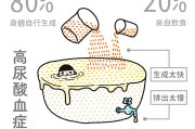 查肝功尿酸偏高是什么问题尿酸偏高是什么问题