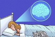睡眠障碍的基本治疗方法,睡眠障碍怎样治疗调理