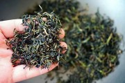 蒲公英茶的功效与作用,蒲公英茶的十大功效与禁忌