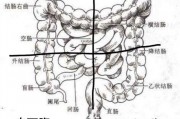 结肠炎该吃什么调理才好？