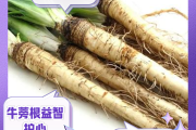 牛蒡根的功效与作用及图片,牛蒡根的功效与作用