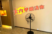甲醛清除,如何甲醛清除
