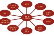 怎么减肥不反弹辟谷减肥反弹有多猛