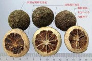 枳壳和枳实的区别,枳壳和枳实有什么区别