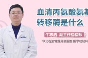 丙氨酸氨基转移酶是什么意思丙氨酸氨基转移酶