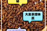 大麦茶的副作用大麦茶的副作用三大禁忌要知道