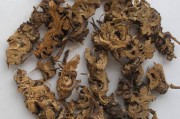 藁木功效作用与主治藁木