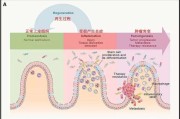 炎症反应性细胞改变是什么意思,炎症