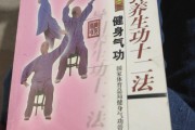 气功养生十二法教学全套气功养生