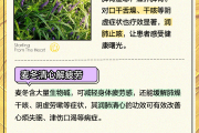 麦冬的功效,麦冬的功效与作用和主治