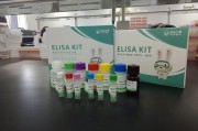 保健品核酸c的GOLD的用量保健品核酸 保健品核酸c的GOLD的用量保健品核酸