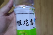 金银花露乐可原文金银花露写了什么文学院
