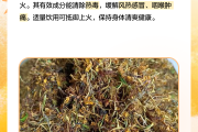 包含金银花的功效与作用养肝的词条
