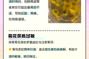 菊花茶三种人不宜喝金银花茶吗,菊花茶三种人不宜喝