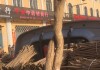 生黄芪,生黄芪图片