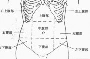 腹部疼痛的原因有哪些? 腹部疼痛的原因有哪些?