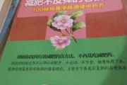 减肥排毒保健药灸,减肥排毒