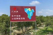 新会陈皮是哪里?,新会陈皮在哪个省哪个市