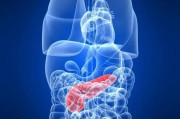 胰腺炎的症状有哪些表现胰腺