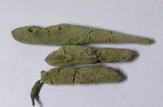 紫稍花的功效与作用,紫稍花 紫稍花的功效与作用,紫稍花