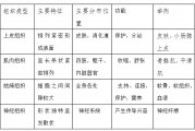 人体组织,航班人体组织
