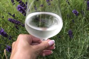 一只手拿酒杯图片伤感女,一只手拿酒图片真实