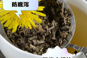 蒲公英泡水喝竟有6个害处蒲公英能与金银花一起喝蒲公英泡水喝竟有6个害处