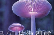 亮菌口服液治幽门螺旋杆菌吗亮菌口服液