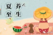 夏至养生夏至养生汤