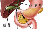 胆囊炎的症状胆囊炎的症状怎么治疗