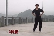 回春医疗保健操72节景点上下片,回春医疗保健操72节